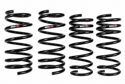 RS-R 13-17 FR-S/BRZ/86 SuperDown Sus Lowering Springs